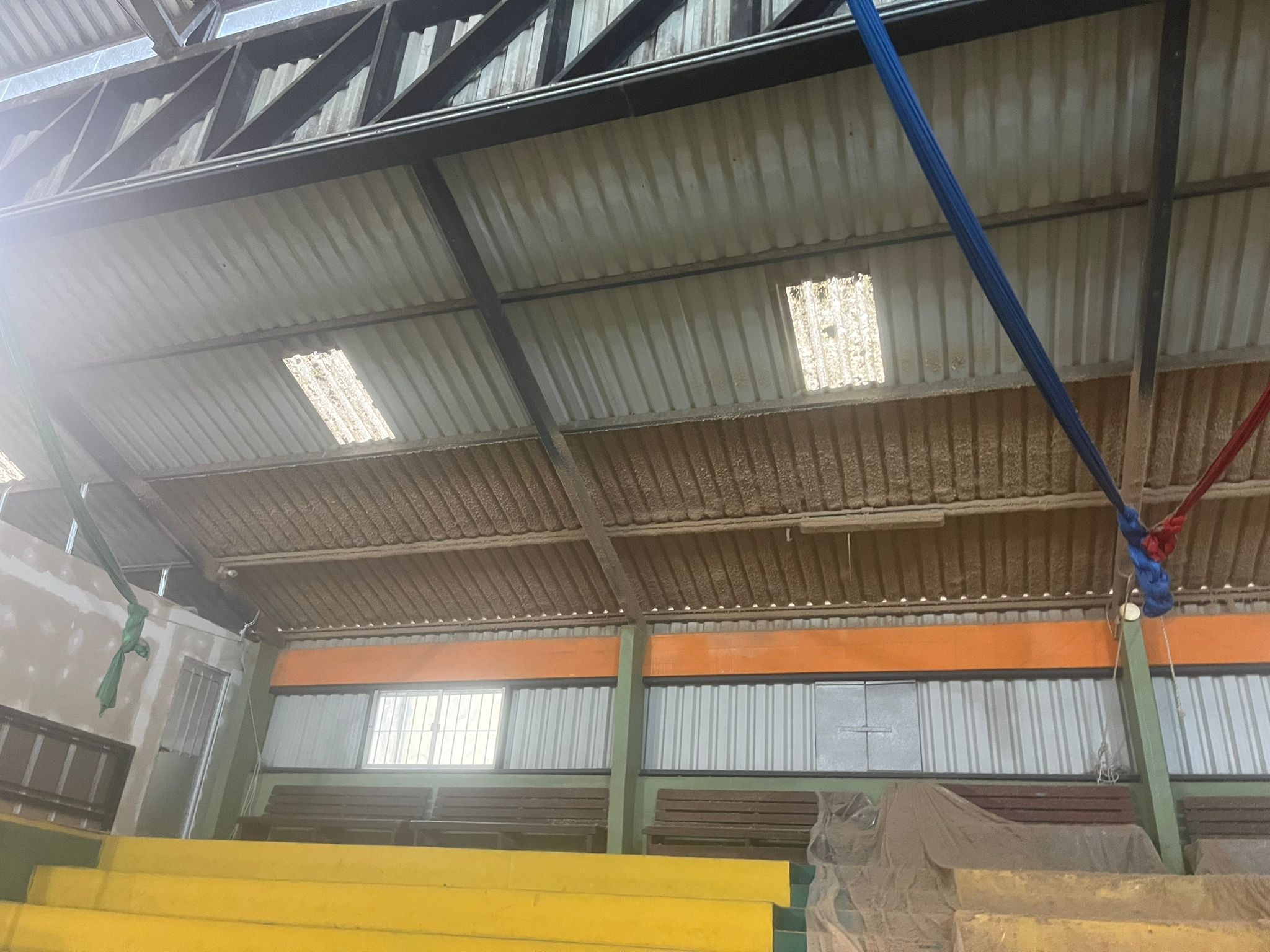 Nave industrial — Celulosa proyectada