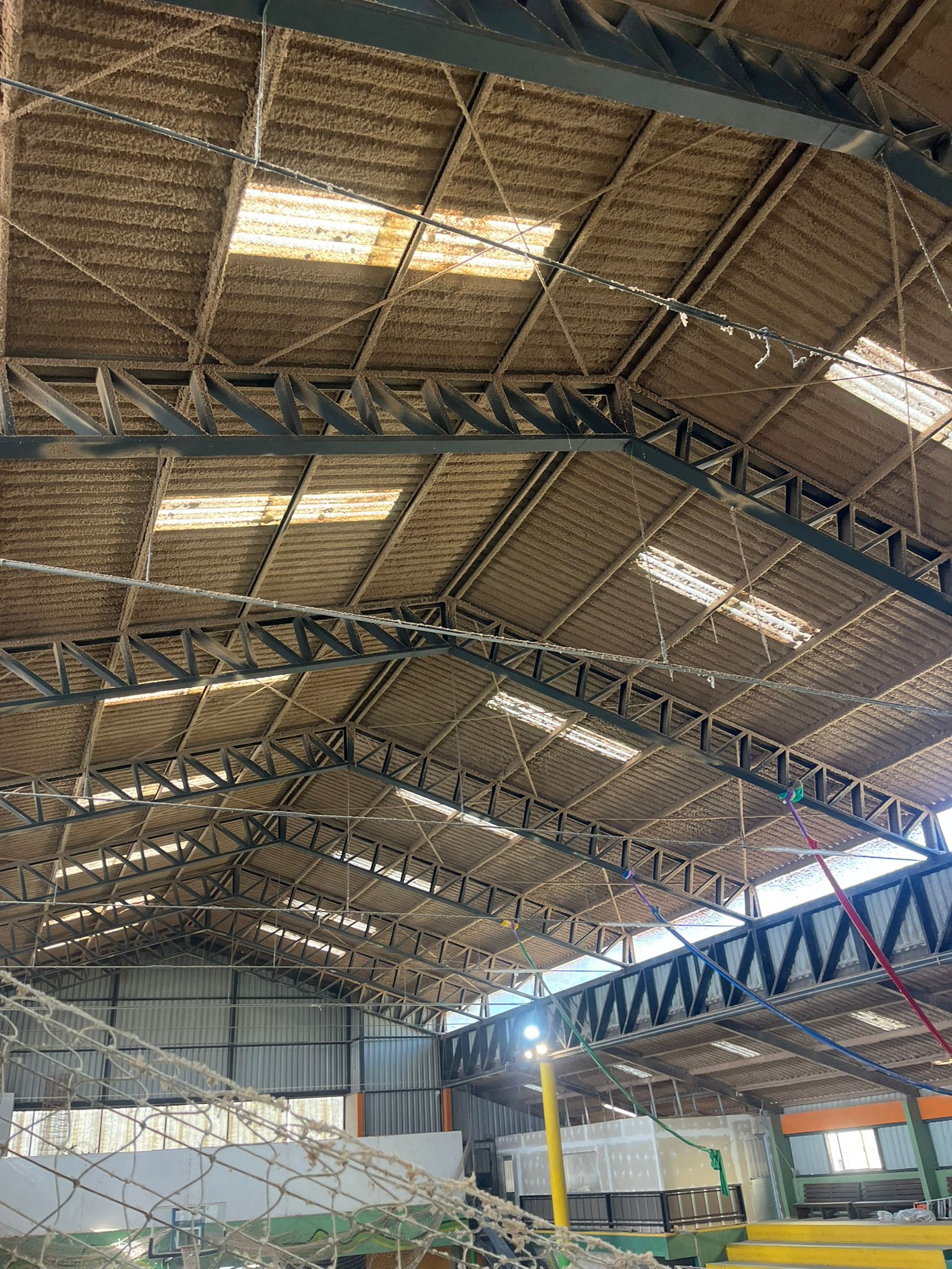 Nave industrial — Celulosa en estructura